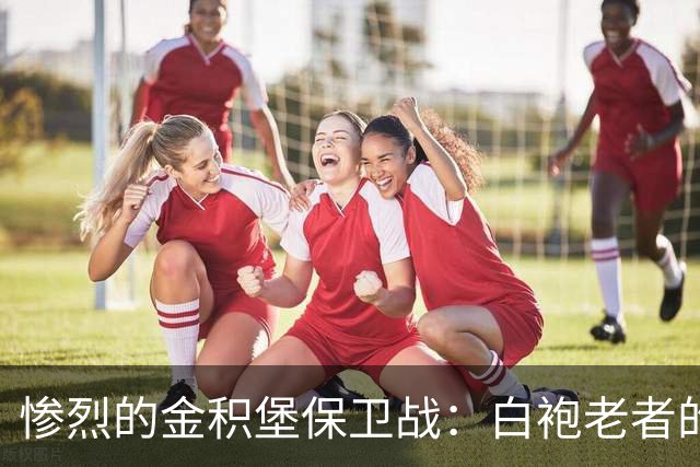 惨烈的金积堡保卫战：白袍老者的悲歌与年轻指挥官的逆袭
